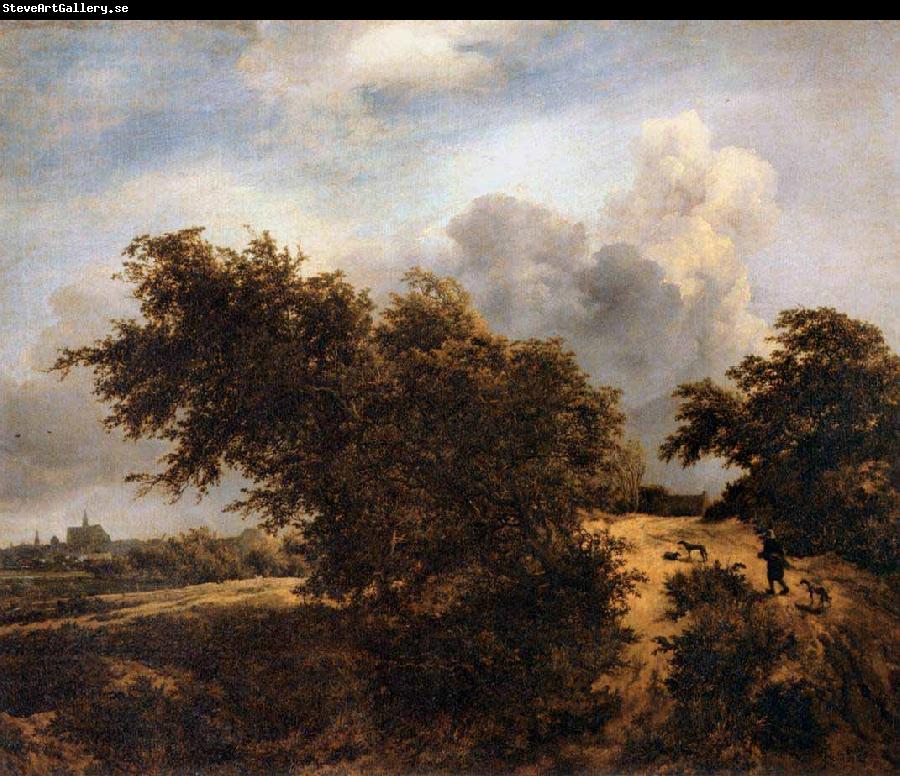 RUISDAEL, Jacob Isaackszon van The Thicket